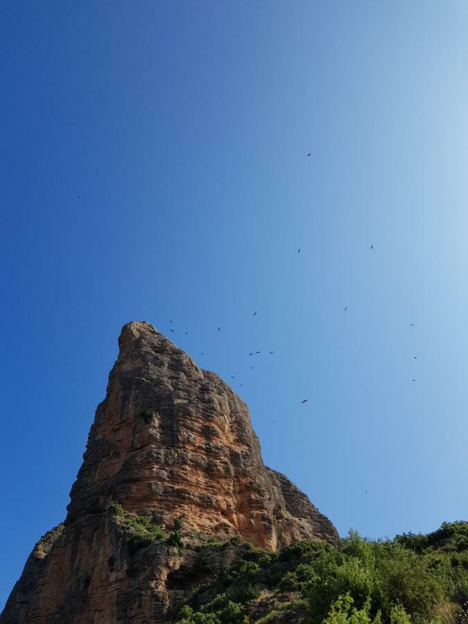 Natura Jordan Murillo de Gállego